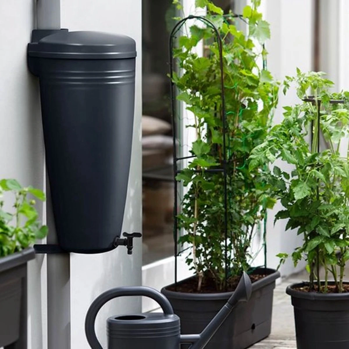 Elho Green Basics Rain Catcher 33 - Regenton Voor Balkonbuiten - Ø 33.5 X H 73.5 Cm - Zwart/Living Black - Afbeelding 3