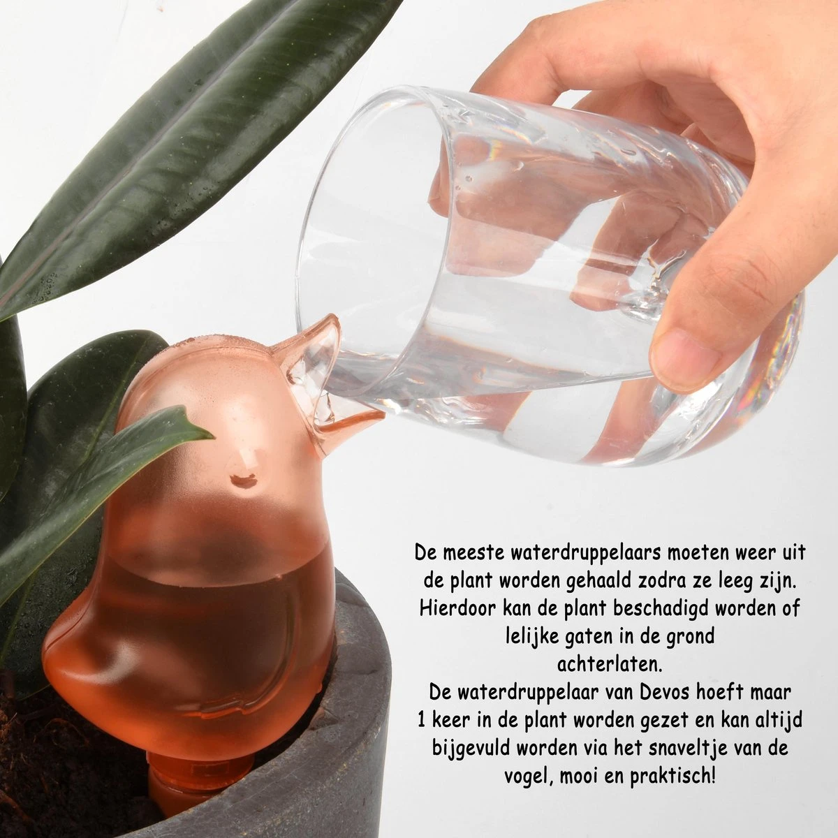 Waterdruppelaar Voor Planten 2 Stuks - Waterbol Kamerplanten - Automatisch Watergeefsysteem - Vogel - Blauw - Afbeelding 3