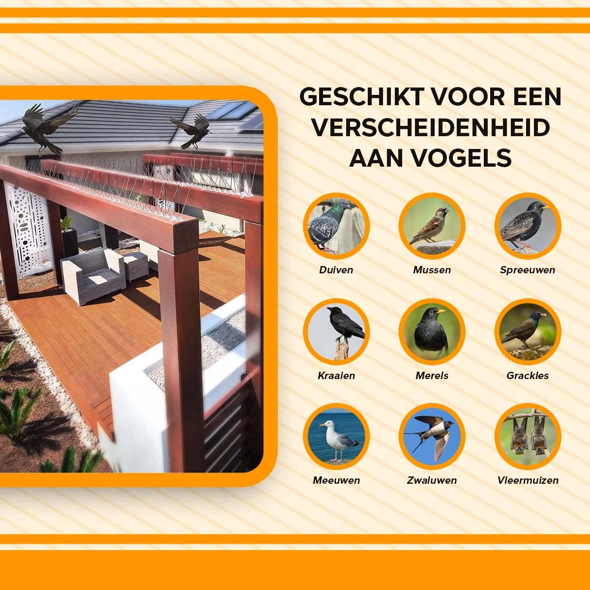 TIOF Duivenpinnen Incl. Tape & Tiewraps – Gebruiksklare Vogelpinnen – 3 Meter – Duivenverjager – RVS - Afbeelding 5