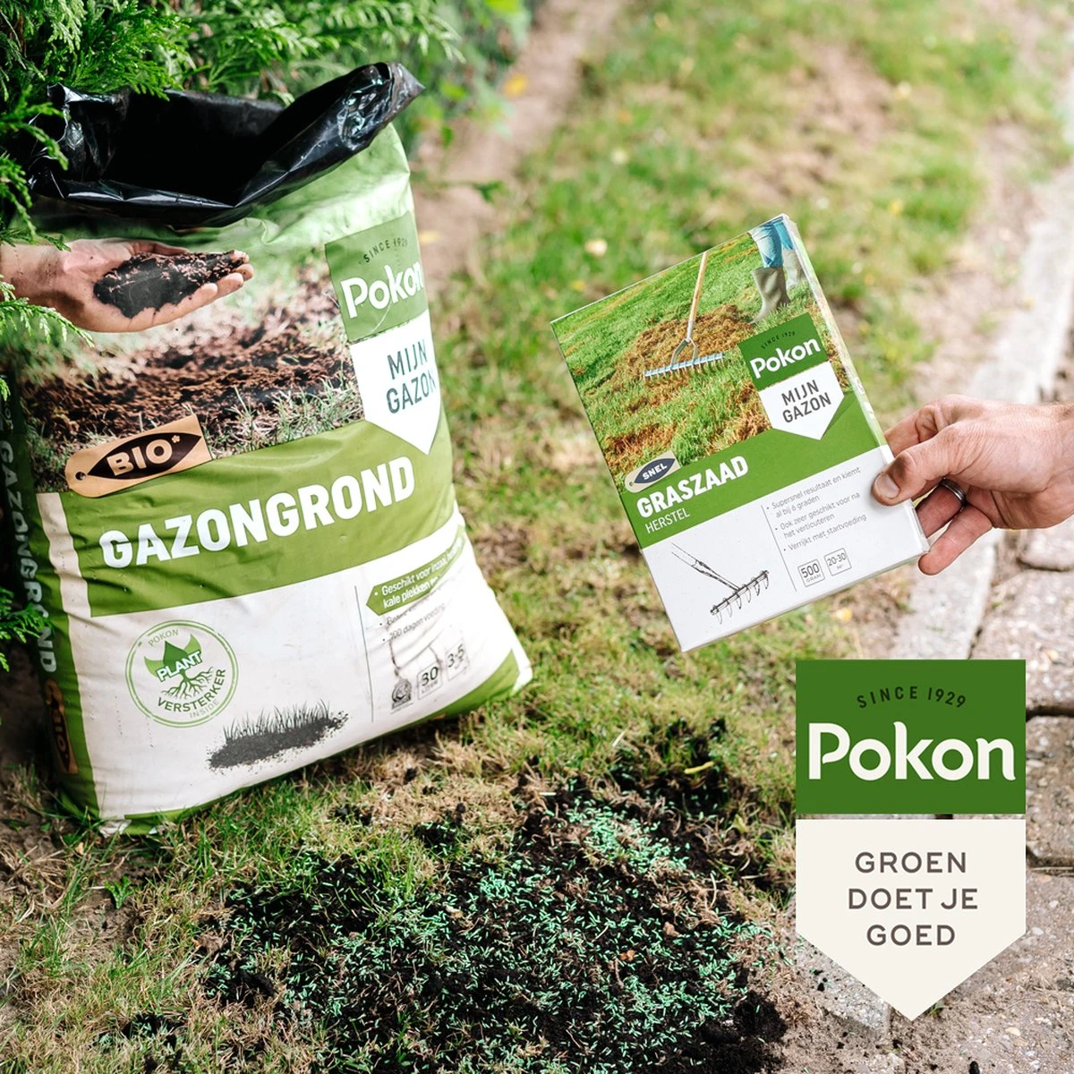 Pokon Bio Gazongrond - 30l - Biologische Bodemverbeteraar - 100 Dagen Voeding - Afbeelding 3