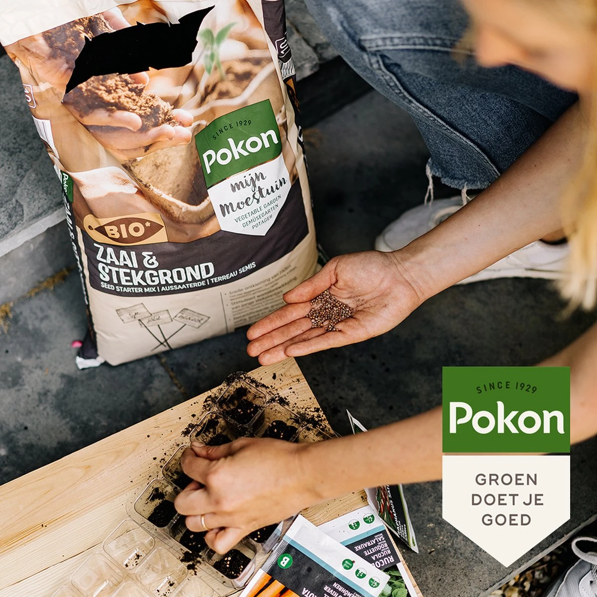 Pokon Bio Zaai- En Stekgrond - 3x10l - Potgrond (biologisch) - Stimuleert Wortelontwikkeling - Afbeelding 3