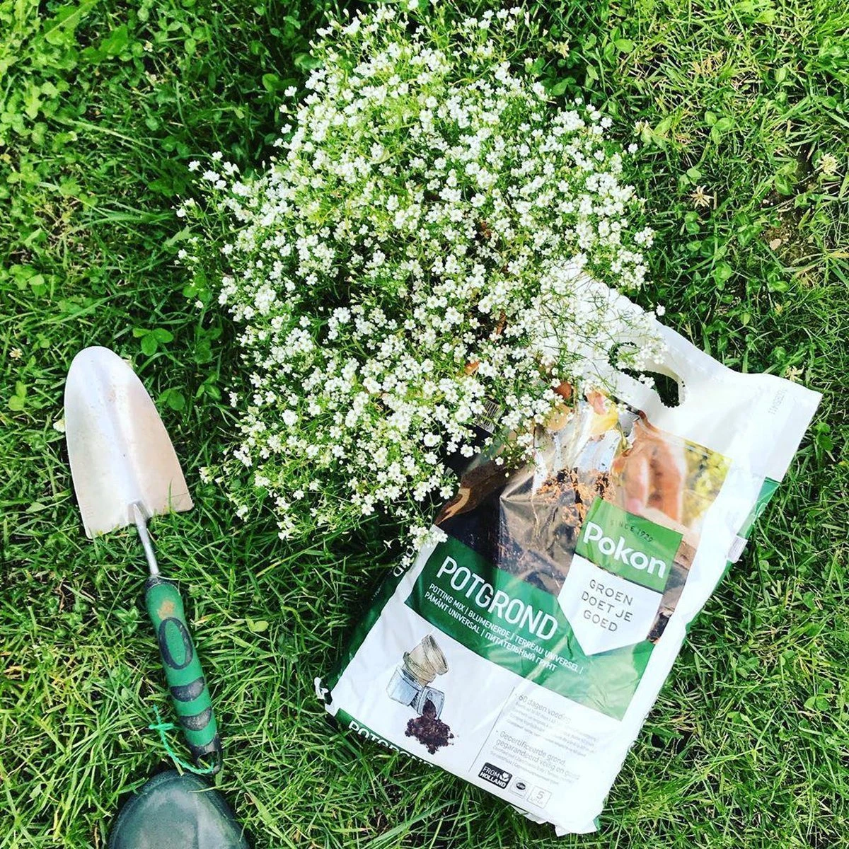 Pokon Universele Potgrond - 20l - Voor Binnen En Buiten - 60 Dagen Voeding - Potgrond Universeel - Afbeelding 4