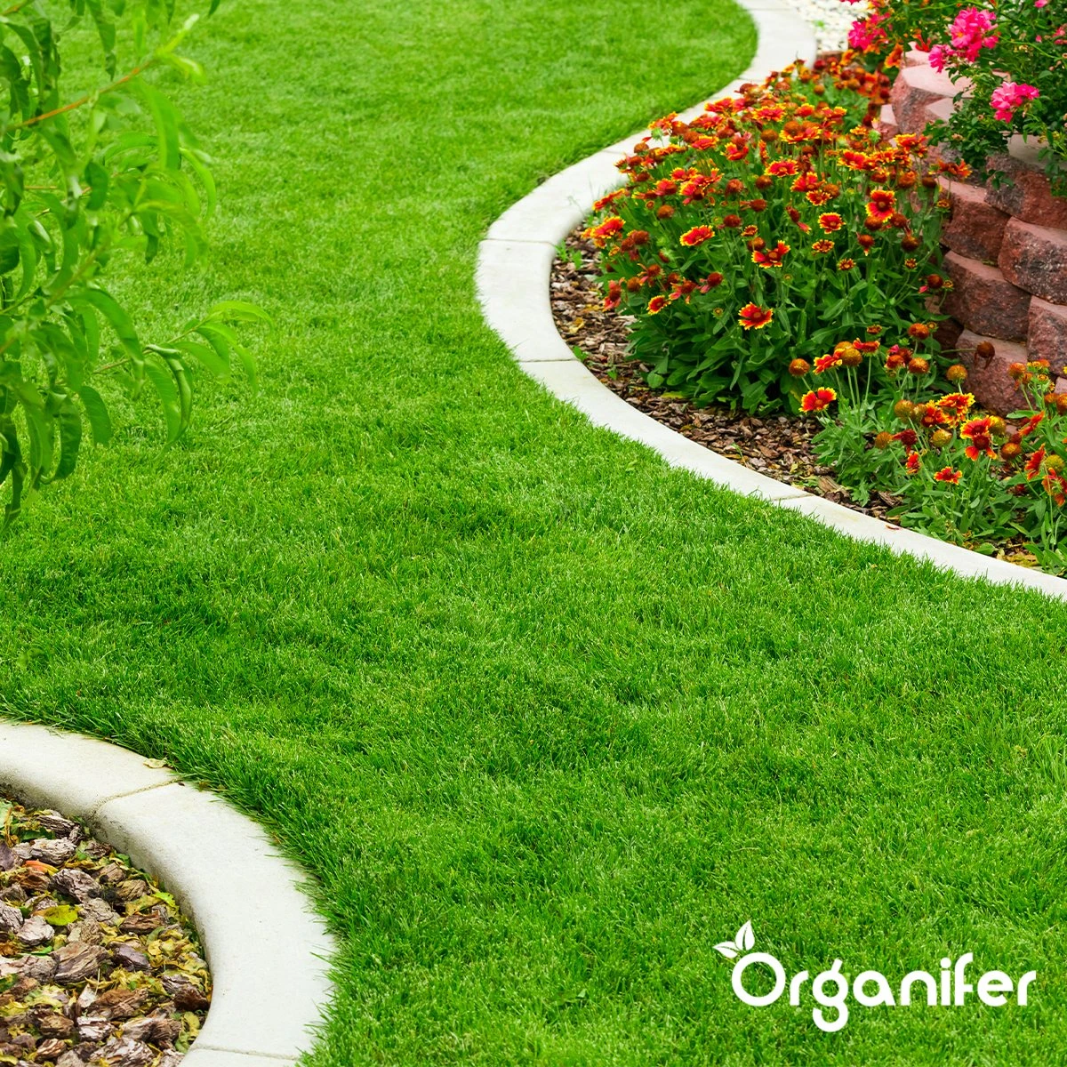 IJzersulfaat Meststof – Mos Verwijderaar – 5kg -Voor 250m2 (organifer) - Afbeelding 5