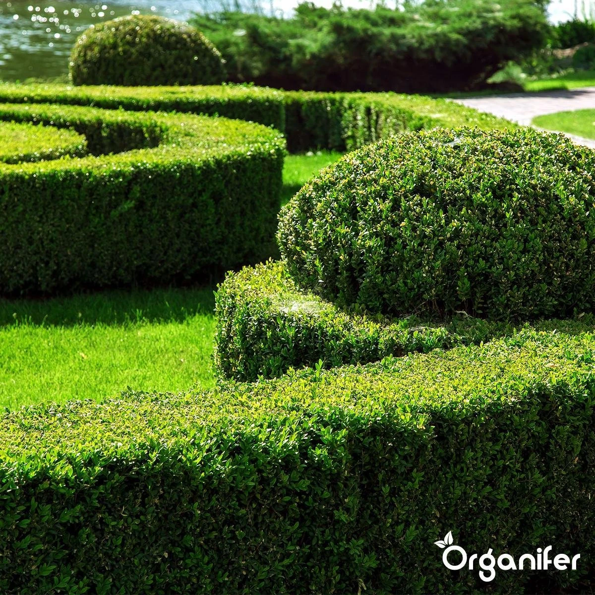 Lavameel Uit Eifel Oergesteente (20Kg Voor 200m2) Organifer - Afbeelding 11