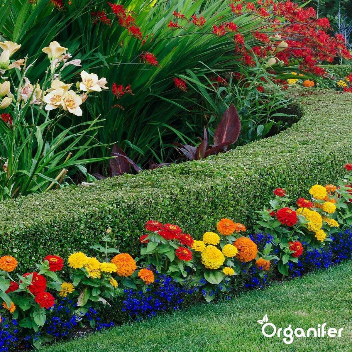 Lavameel Uit Eifel Oergesteente (20Kg Voor 200m2) Organifer - Afbeelding 12