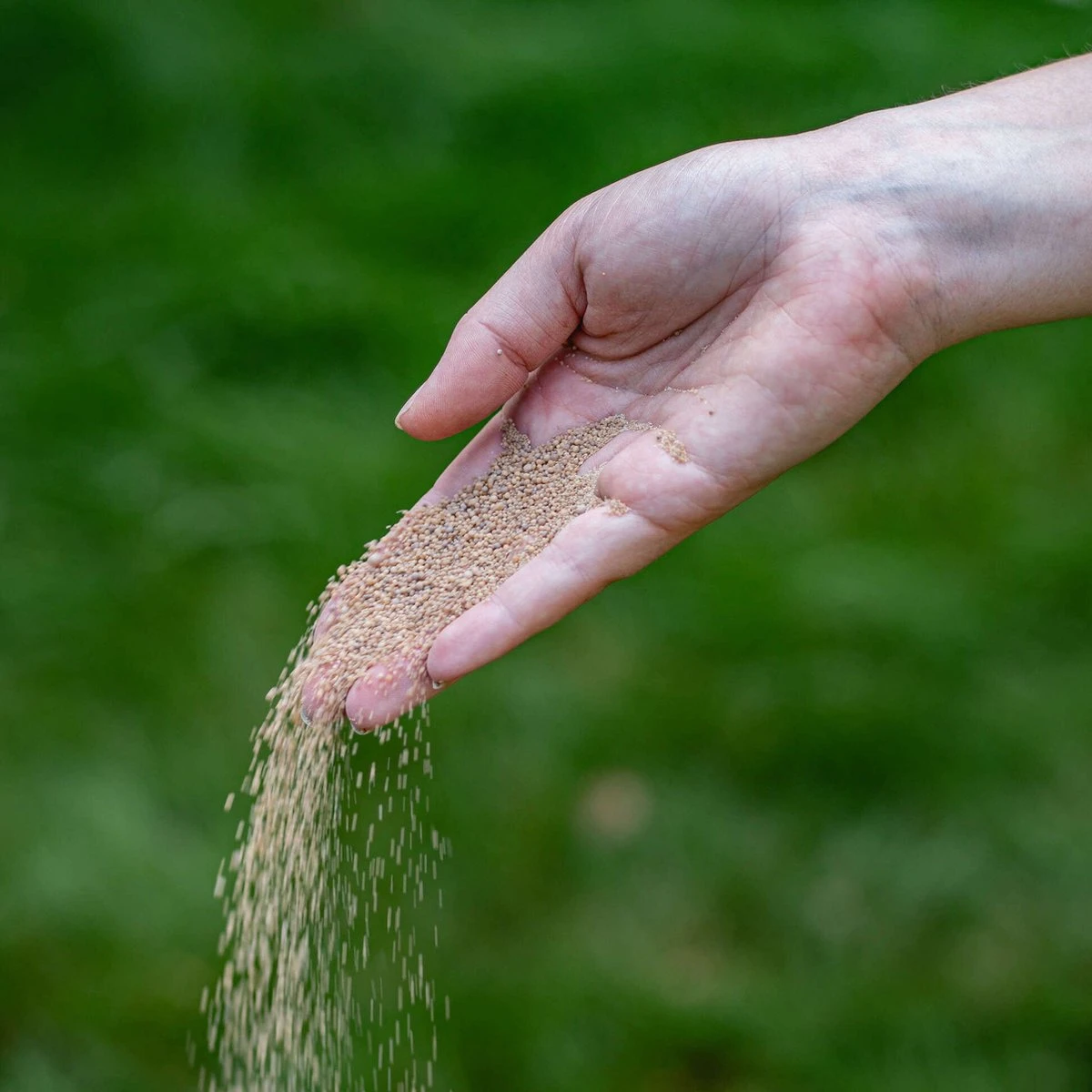 ECOstyle AZ Kalk Micro Korrel – Voor Gazon, Sier- En Moestuin - Corrigeert Zuurgraad Direct En Langdurig - Werkt Tegen Mos - CO2-Neutraal – 70 M² - 5 KG - Afbeelding 5