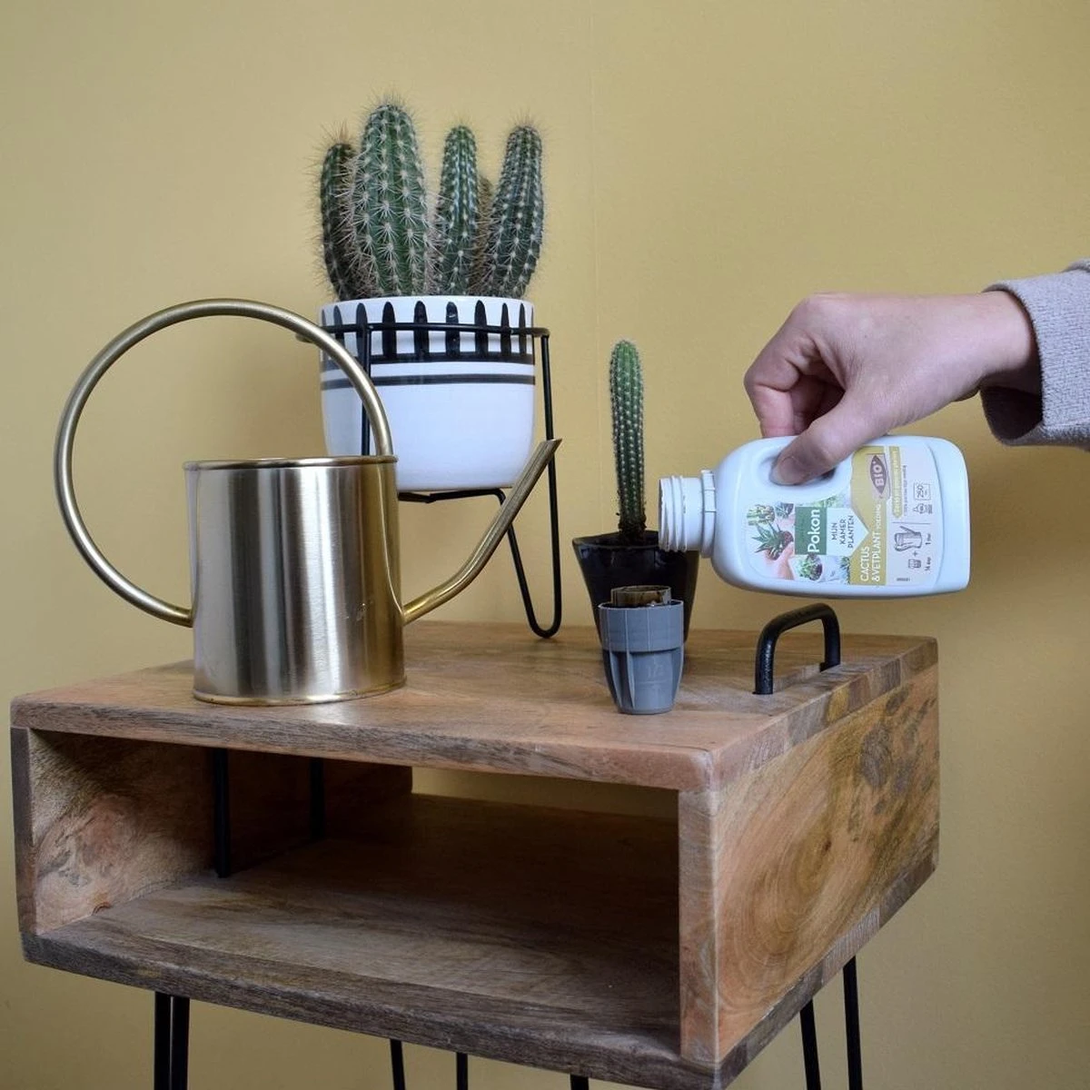 Pokon Bio Cactus & Vetplant Voeding - 250ml - Plantenvoeding (bio) - 7ml Per 1L Water - Afbeelding 6