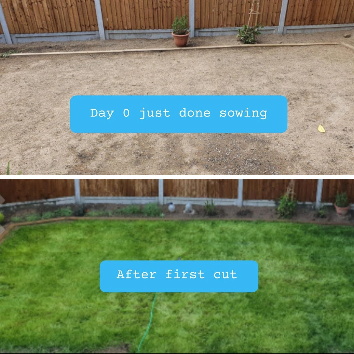 Snelwerkende Gazonmest Voor 100m² Gras | Meststof Voor Lente En Zomer | Ideaal Voor Meststofstrooier | Gazonbemesting - Afbeelding 9