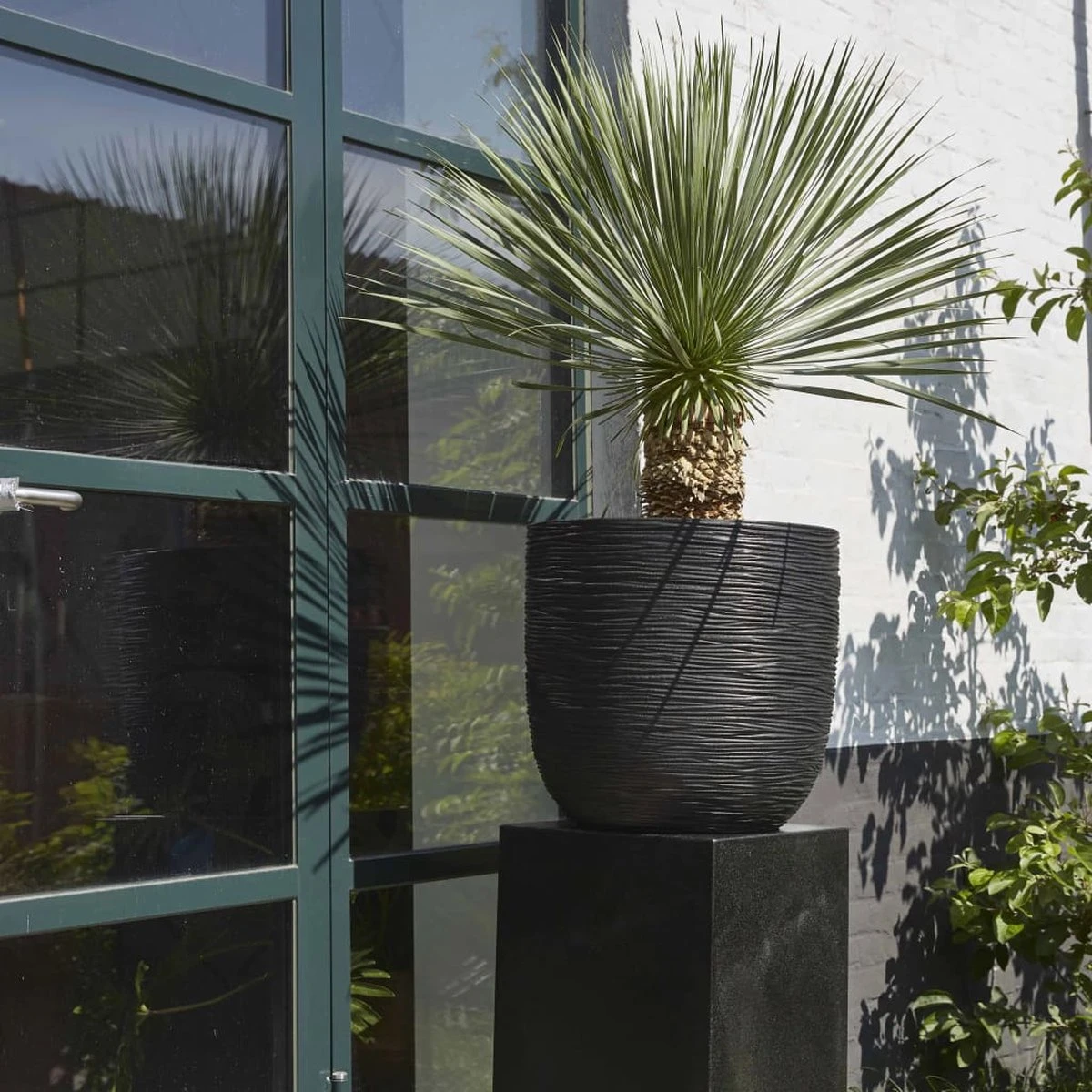 Capi Europe - Bloempot Bol Rib NL - 35x34 - Zwart - Voor Binnen En Buiten - KBLR932 - Afbeelding 8