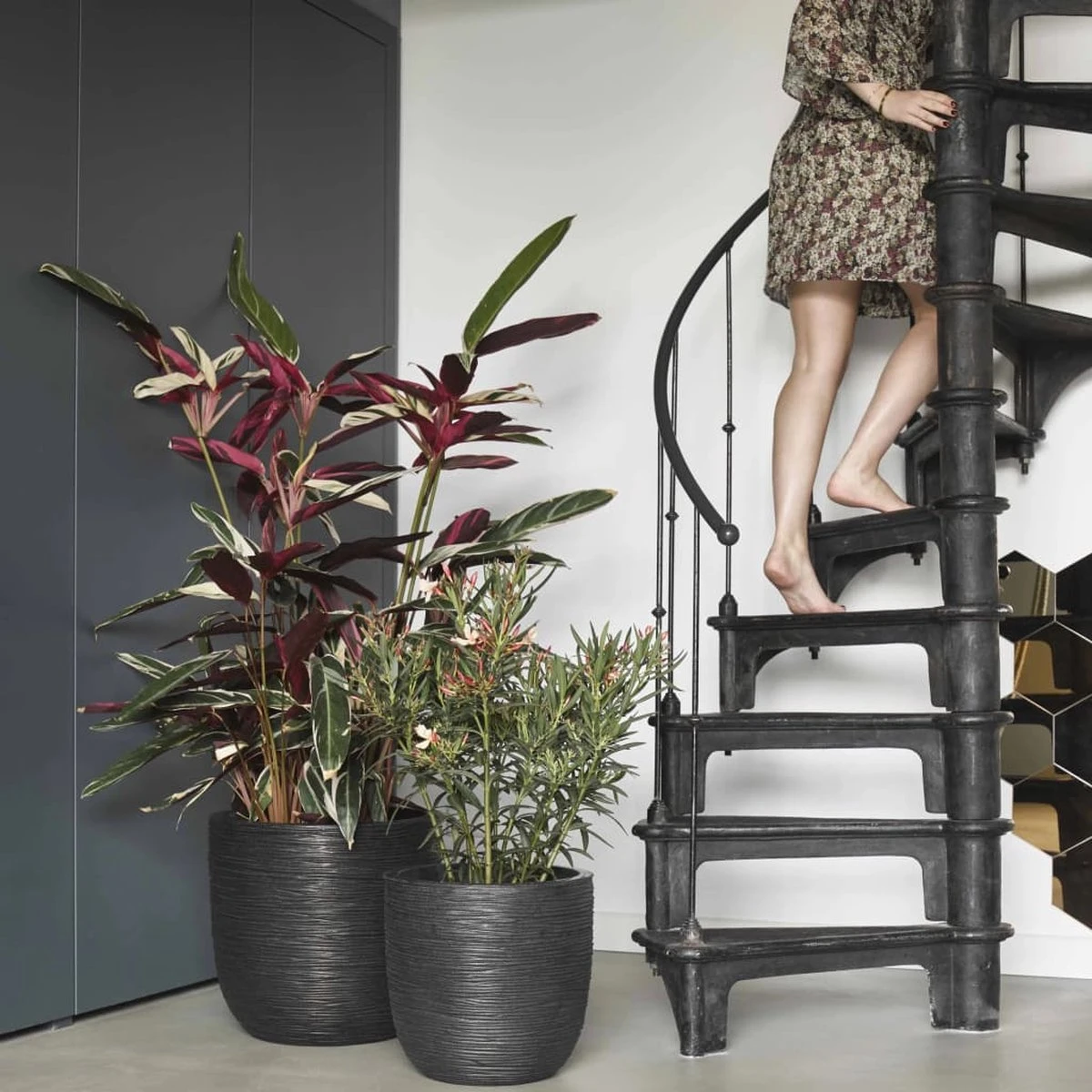 Capi Europe - Bloempot Bol Rib NL - 35x34 - Zwart - Voor Binnen En Buiten - KBLR932 - Afbeelding 11