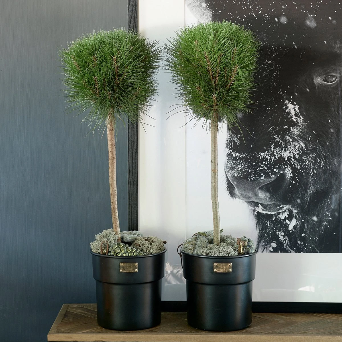 Riviera Maison Bloempot Voor Binnen Zwart - City Loft Flower Pot S - Afbeelding 3