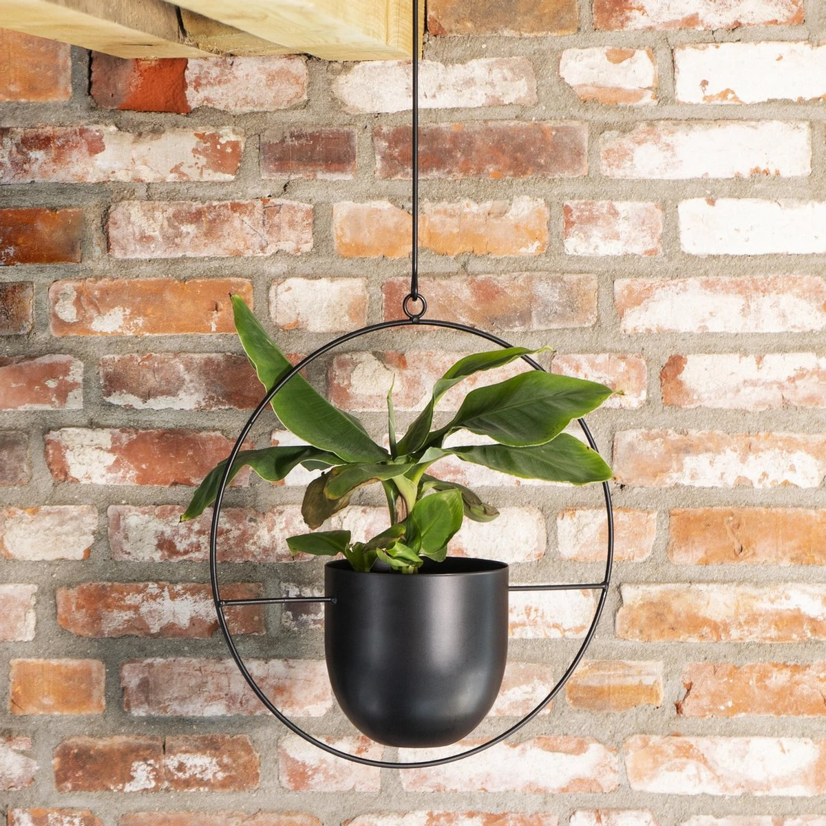 QUVIO Bloempot Hangend / Bloempotten Voor Binnen / Bloempotten / Bloempot Binnen / Bloempot Met Ophanghaak - Metaal - Afbeelding 3