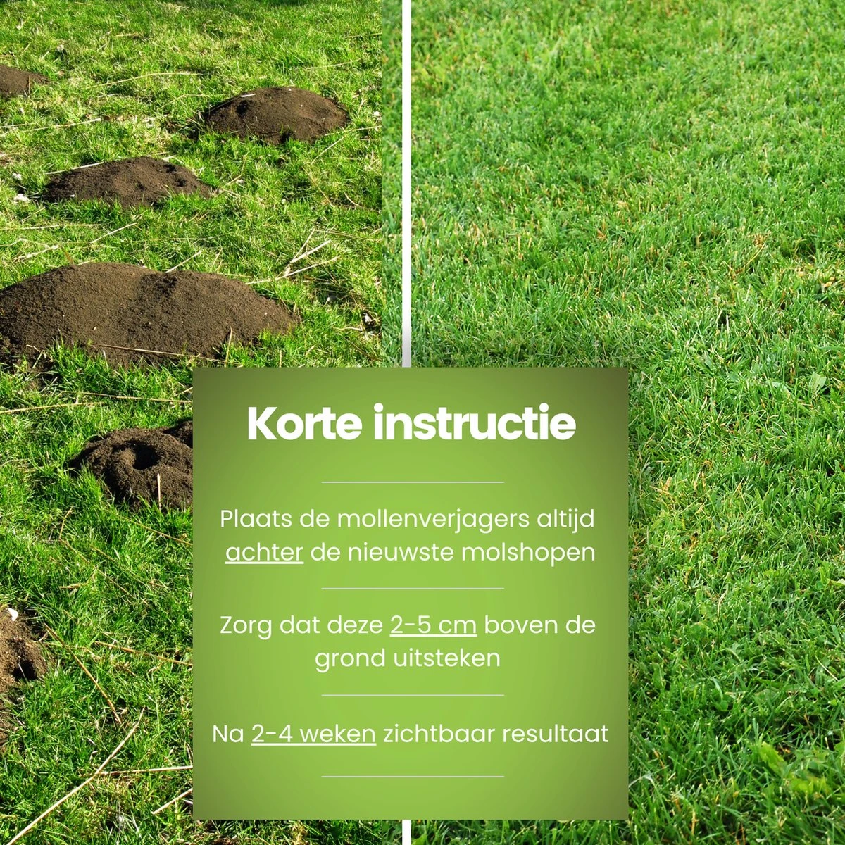 Aniway®- Mollenverjager - 2 Of 4 Stuks - Mollenbestrijding - Op Zonne-energie - Diervriendelijk - Waterdicht - Strakke Tuin/gazon/perceel - Afbeelding 14