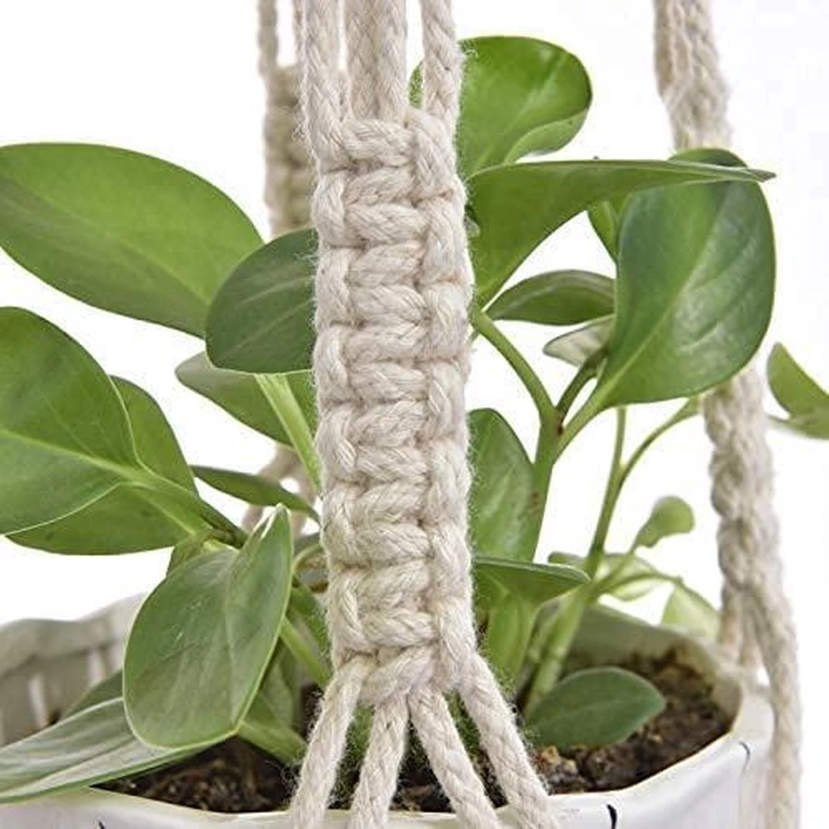 4 Stuks Plantenhangers - Boho Handgeweven Katoen Hangpot Voor Binnen/Buiten - Bloempot Met Kralen - Macramé Touw/Koord Hangplant Houder - Bohemian Wandhanger Decoratie - Verticale Tuin Plant Hanger Bloempothouder Planthanger Wit - Afbeelding 8