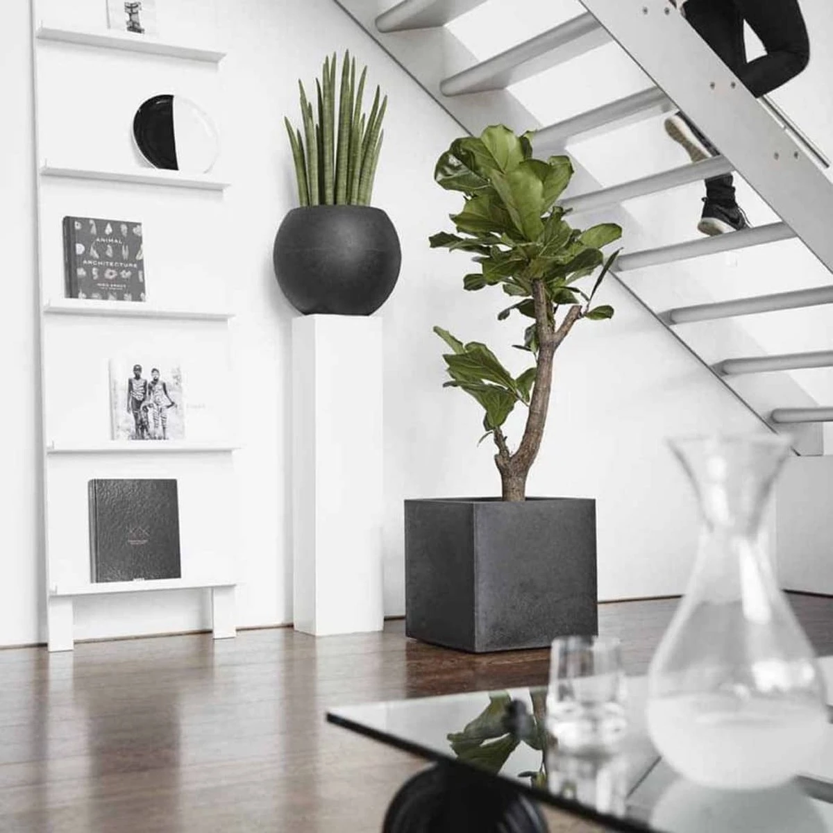 Capi Europe - Bloempot Vierkant Smooth NL - 30x30x30 - Zwart - Voor Binnen En Buiten - KBL902 - Afbeelding 5