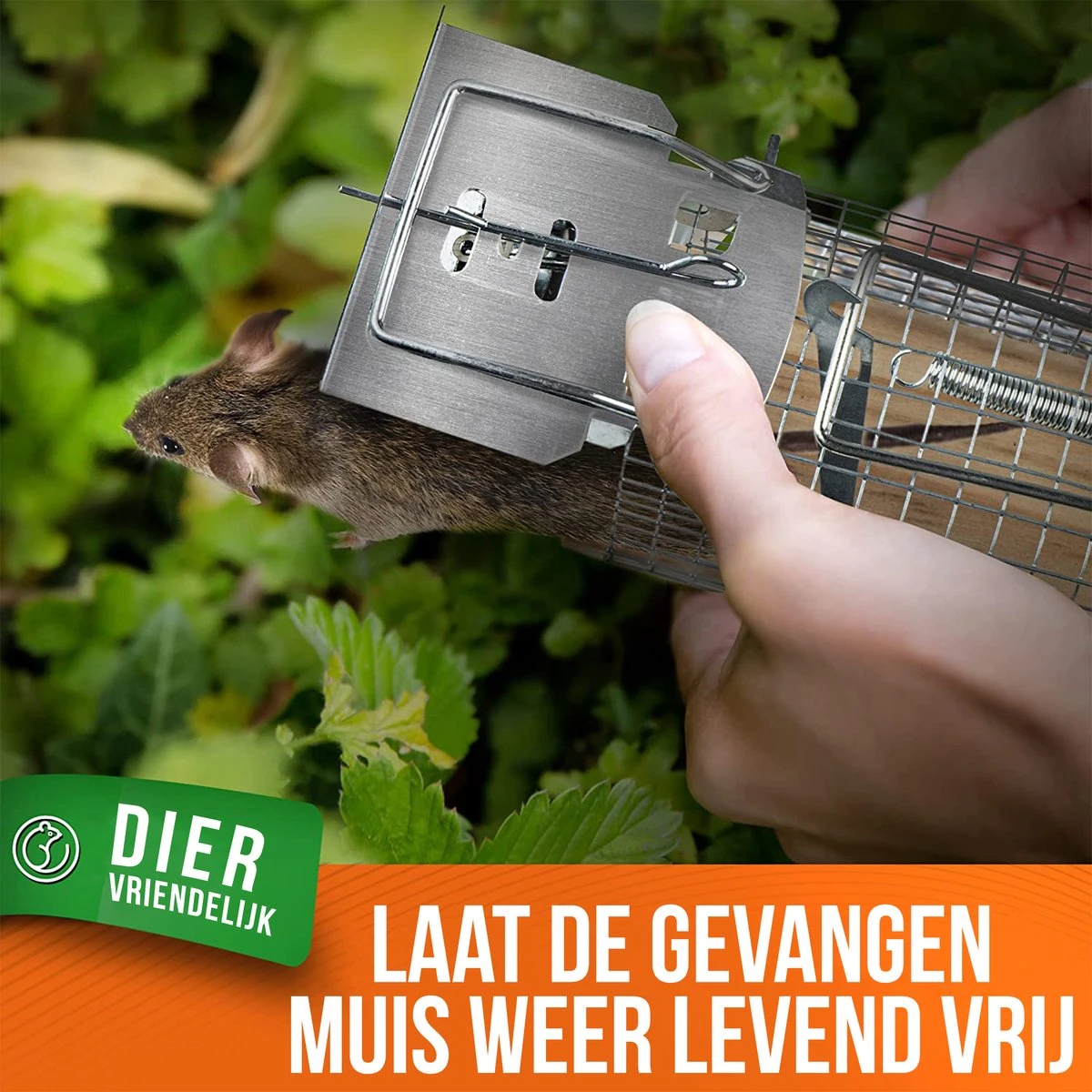 Strex Muizenval Voor Binnen En Buiten - Diervriendelijk - Levende Val - 2 Stuks - Afbeelding 5