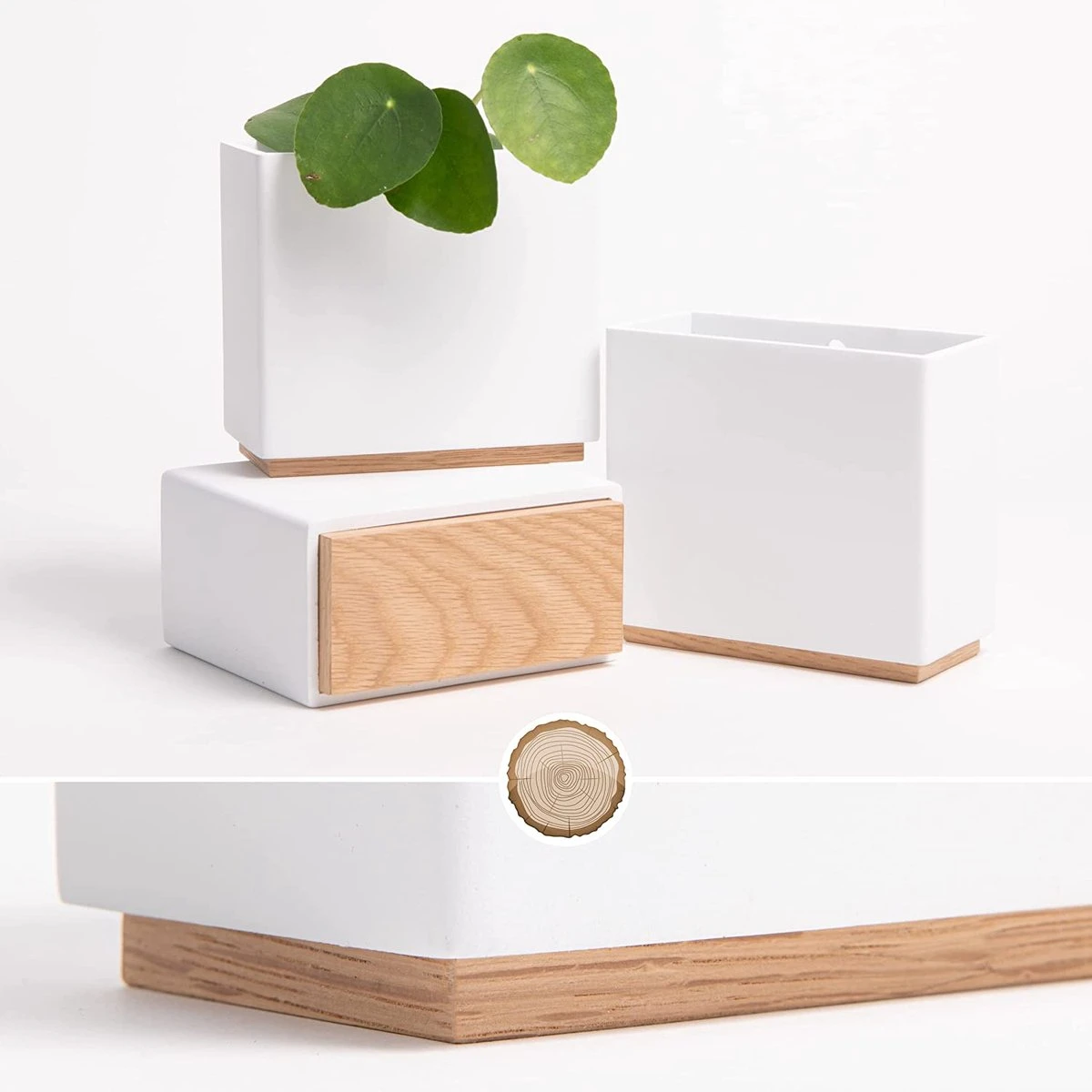 KAZAI. Wandvazen -Alma | Moderne Hangende Bloempotten Voor Aan De Muur | 3-delige Bloempot Set Van Hoogwaardig Hars Voor Kamerplanten, Kunstplanten, Bloemen Enz. | Wit - Afbeelding 2