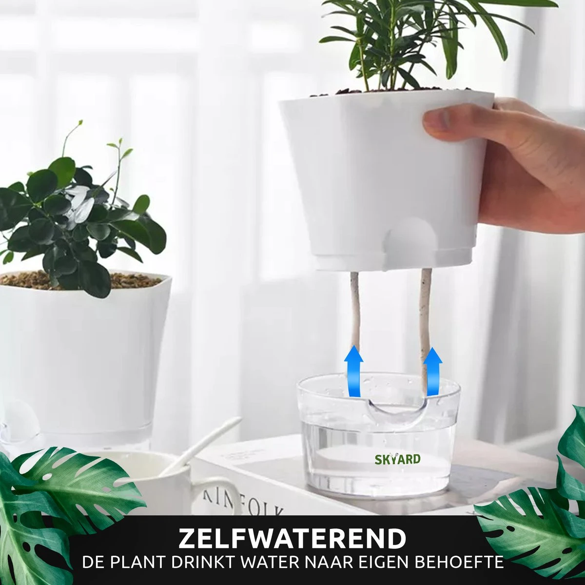 SKYARD® 3 Stuks Zelfwaterende Bloempot Maat M – Milieuvriendelijk Watergeefsysteem Kamerplanten – Zelfwatergevende Pot – Bloempot Met Waterreservoir – Selfwatering Pot – Wit - Afbeelding 2
