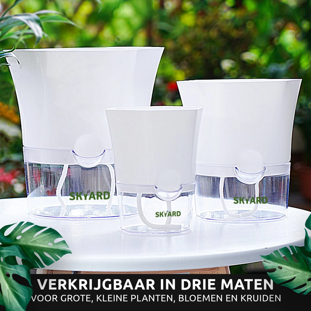 SKYARD® 3 Stuks Zelfwaterende Bloempot Maat M – Milieuvriendelijk Watergeefsysteem Kamerplanten – Zelfwatergevende Pot – Bloempot Met Waterreservoir – Selfwatering Pot – Wit - Afbeelding 8