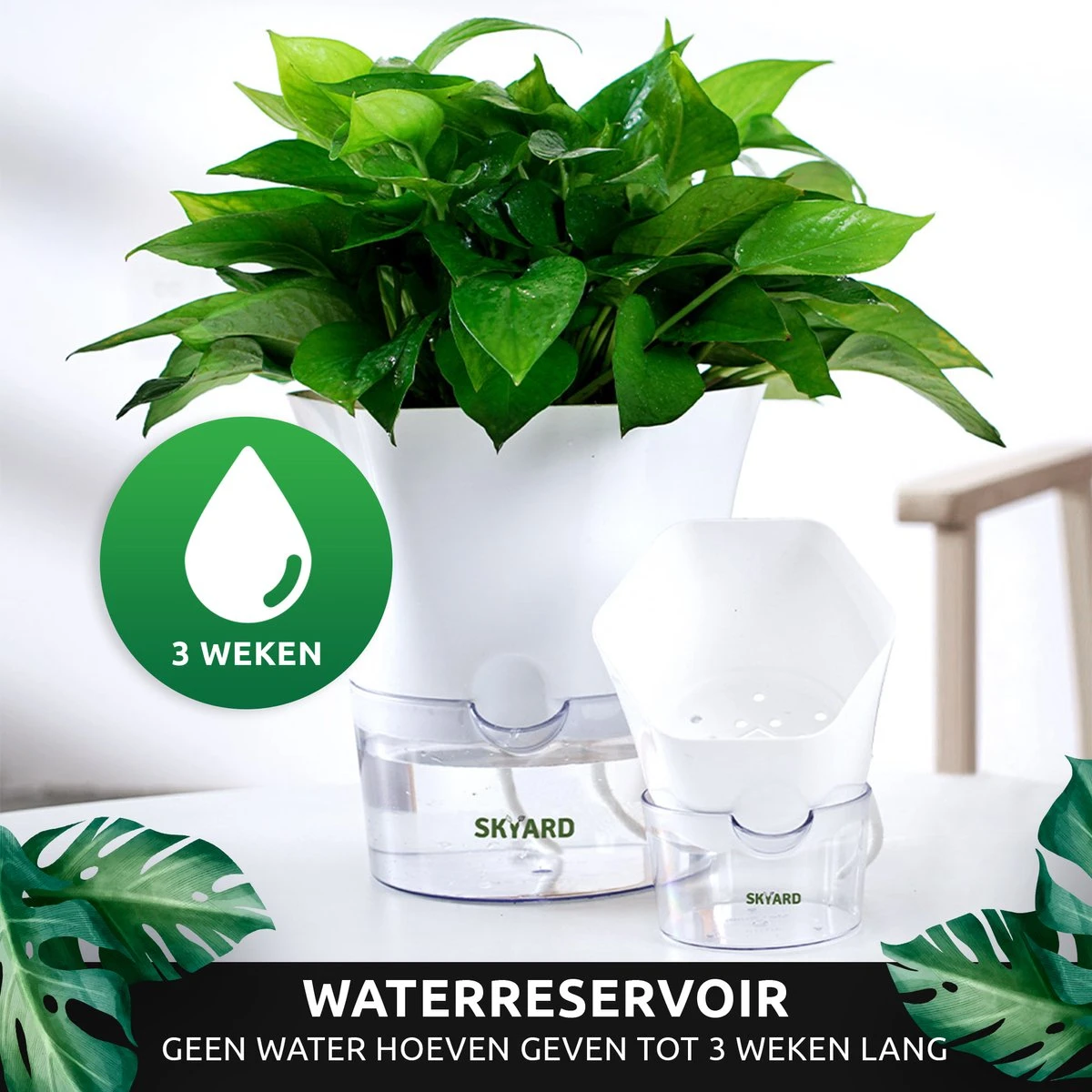 SKYARD® 3 Stuks Zelfwaterende Bloempot Maat M – Milieuvriendelijk Watergeefsysteem Kamerplanten – Zelfwatergevende Pot – Bloempot Met Waterreservoir – Selfwatering Pot – Wit - Afbeelding 10