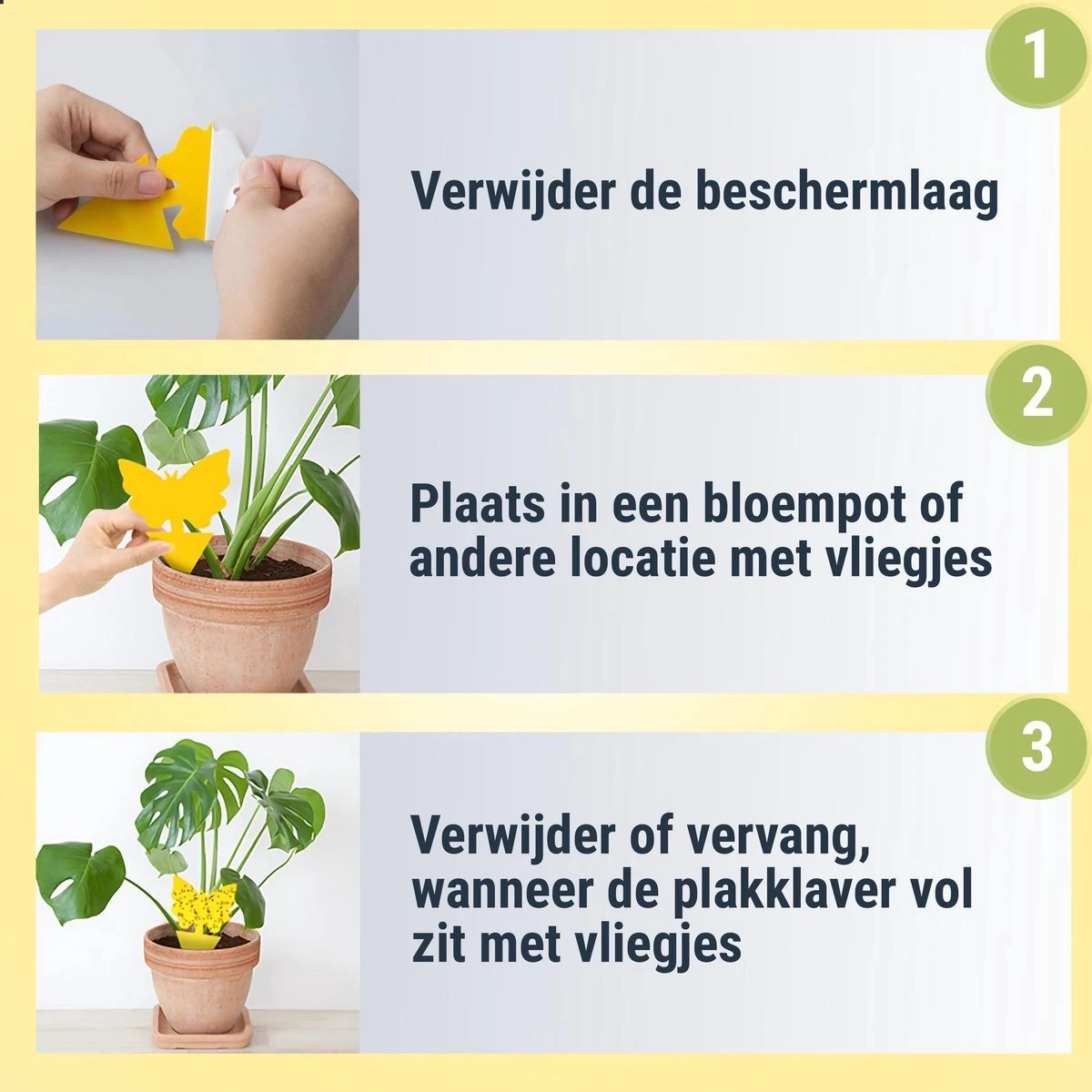Merkloos Rouwvliegjes Bestrijden - Rouwvliegjes Plakstrips - Fruitvliegjes Vanger - Vangplaten Tegen Fruitvliegjes En Rouwvliegjes - 36 Stuks - Afbeelding 2