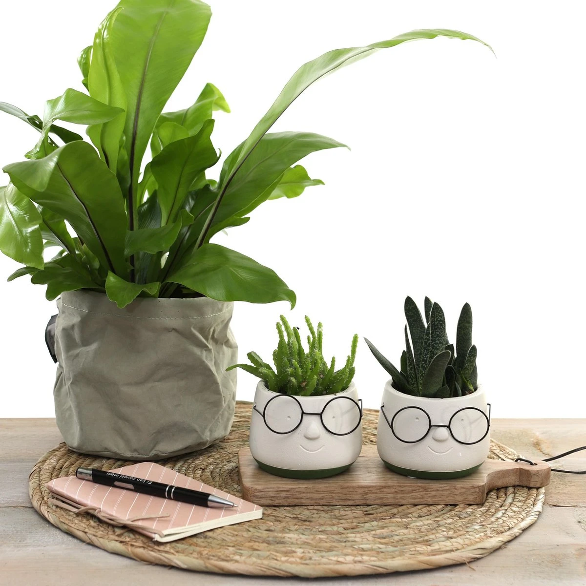 2x Bloempot Met Gezicht - Ø8 X H6,5 Cm - Bloempotten Voor Binnen Met Bril/Face/Hoofd - Afbeelding 4