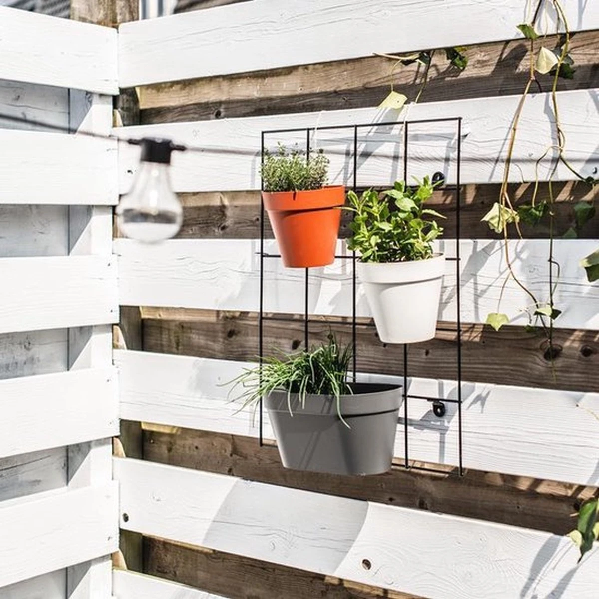 Elho Loft Urban Green Wall Rek 48 - Accessoires Voor Buiten - Ø 47.3 X H 59.0 Cm - Zwart/Living Black - Afbeelding 4