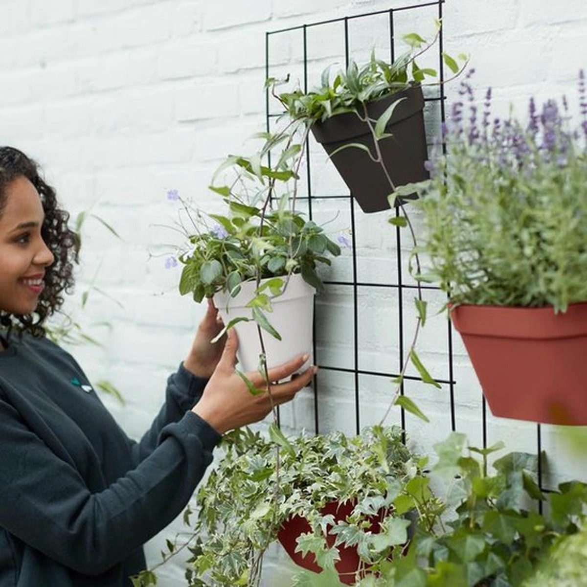 Elho Loft Urban Green Wall Rek 48 - Accessoires Voor Buiten - Ø 47.3 X H 59.0 Cm - Zwart/Living Black - Afbeelding 5