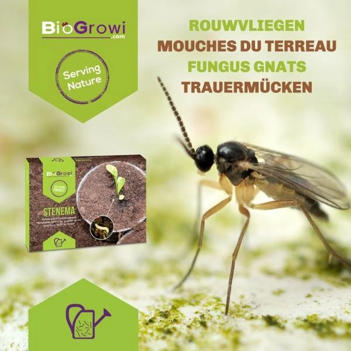 Stenema 100m² | Aaltjes Tegen Rouwvliegjes | Tegen Larven Van Rouwvliegen | Rouwvliegjes Bestrijden | Varenrouwmuggen | In Planten | 100% Natuurlijke Biologische Bestrijding - Afbeelding 2