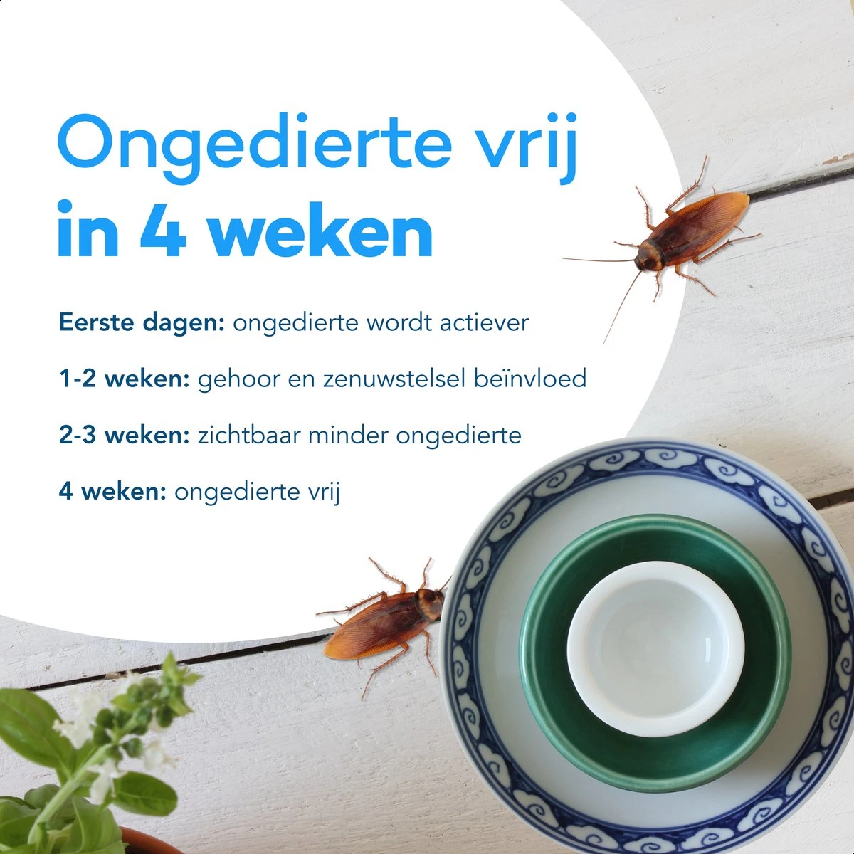 4 Pack Ultrasone Muizenverjager - Ongedierte Verjager - Muizenval - Diervriendelijk - Pest Reject - Repeller - Ratten Bestrijding - Muggenstekker - Vliegen - Insecten - Marter - Geluidloos - Wit - Afbeelding 2