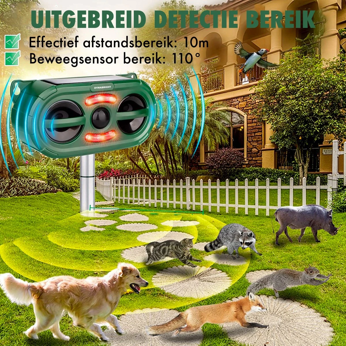 DynaBright - Solar Kattenverjager - Marterverjager - Waterdicht - Honden En Kattenschrik - Muizenverjager - Vogelverjager - Oplaadbare Batterijen - Bewegingssensor - Zonne-energie - USB Lader - Afbeelding 2
