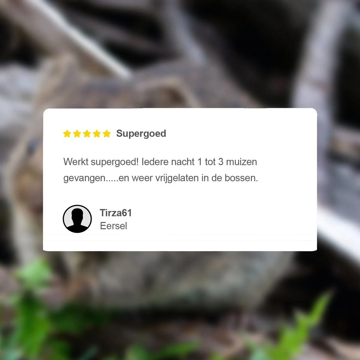 VerminBuster Diervriendelijke Muizenval - Geschikt Voor Meerdere Muizen - Rechthoek Inloopval - Afbeelding 5