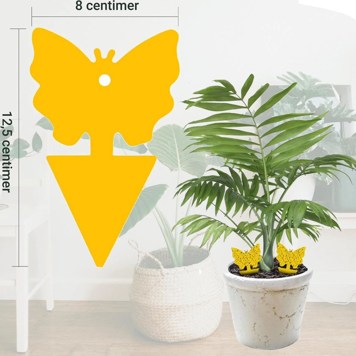 Rouwvliegjes Bestrijden 15 Stuks - Vliegenvanger - Insectenvanger - Lijmval - Vangplaten - Plak Klavertjes Tegen Rouwvliegen En Trips - Vangkaarten - Hebron® - Afbeelding 8