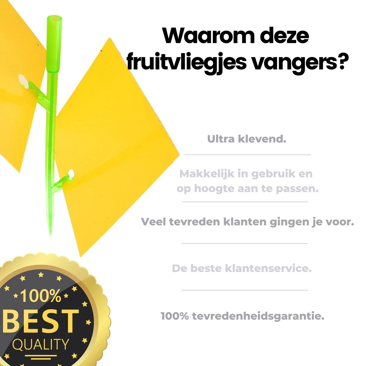 Aniway® - Fruitvliegjes Vanger - 40 Stuks (20 X 2) - Rouwvliegjes Bestrijden - Rouwvliegjes - Sterke Kleefkracht - Voor Buiten En Binnen - Afbeelding 3