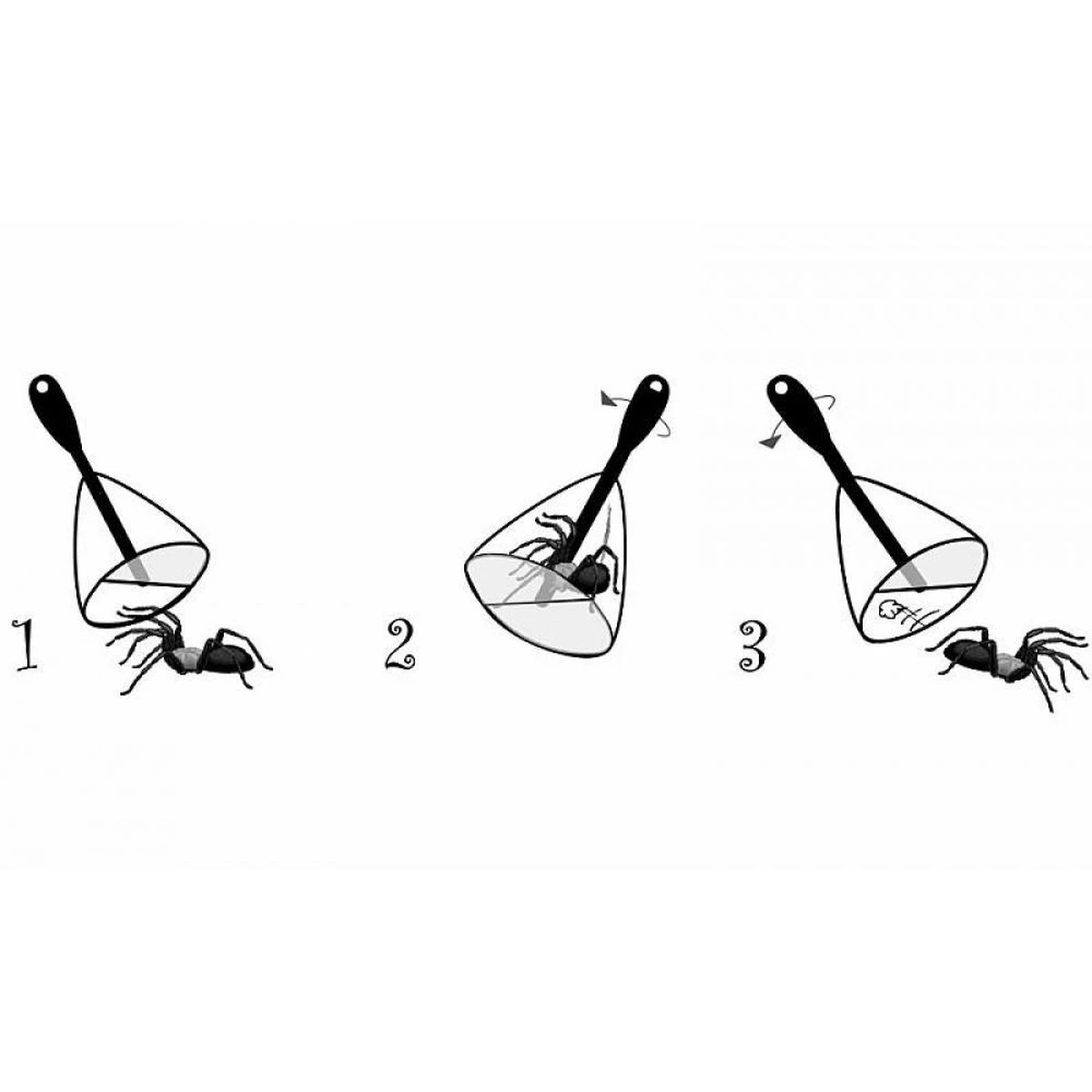 Spinnenvanger Bug Away Met 35 Cm Lange Steel - Afbeelding 6