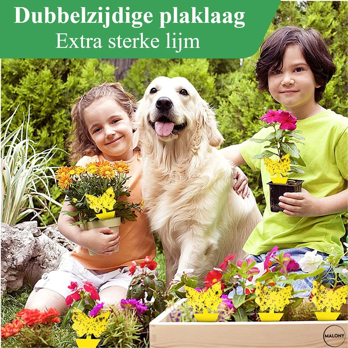 Vliegenvanger Set 24 Stuks - Fruitvliegjes Vanger - Rouwvliegjes Bestrijden - Insectenvanger - Plakstrips Dubbelzijdig - Afbeelding 4