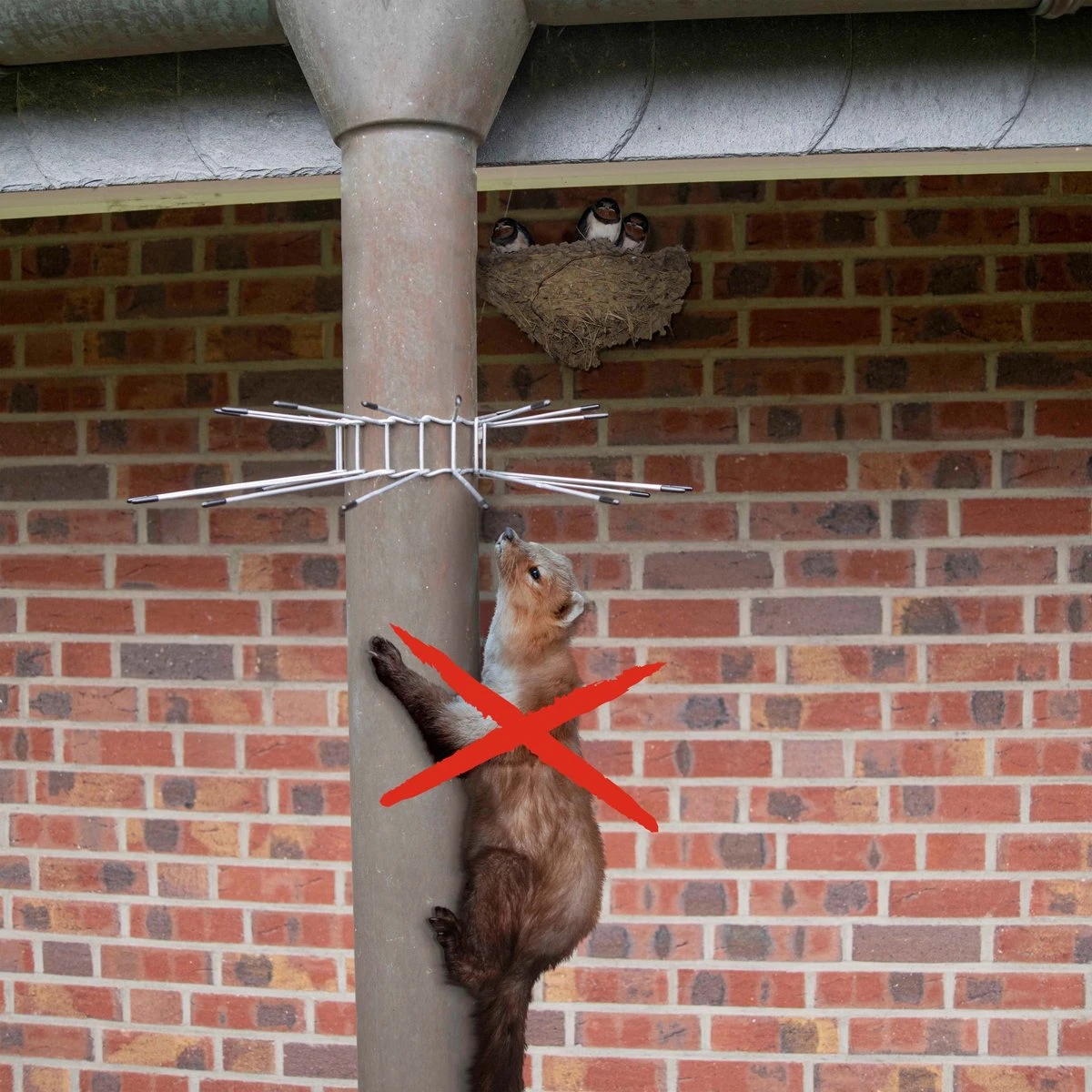 Gardigo Marter Verdedigingsgordel Set Van 2 - Afbeelding 5