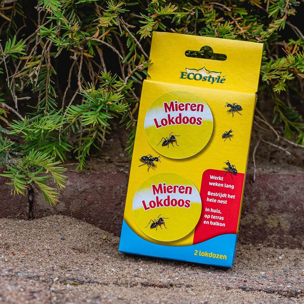 ECOstyle MierenLokdoos - Mierenpoeder Voor Binnen En Buiten - Werkt Enkele Weken - Bestrijd Mieren Op E Wijze - 2 Stuks - Afbeelding 2