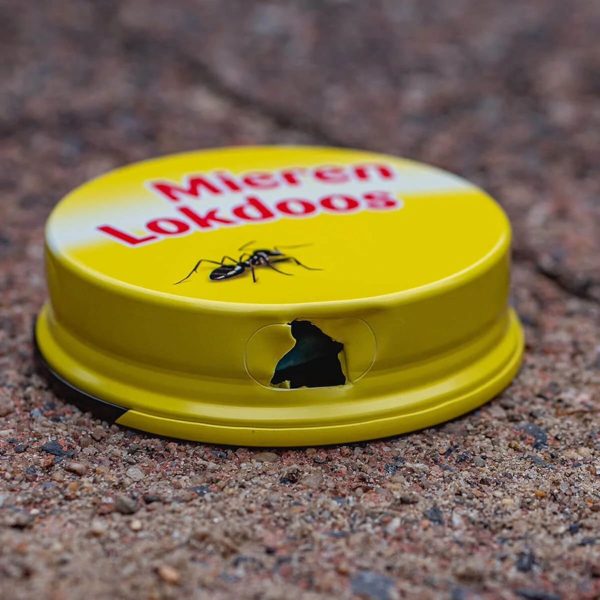 ECOstyle MierenLokdoos - Mierenpoeder Voor Binnen En Buiten - Werkt Enkele Weken - Bestrijd Mieren Op E Wijze - 2 Stuks - Afbeelding 9