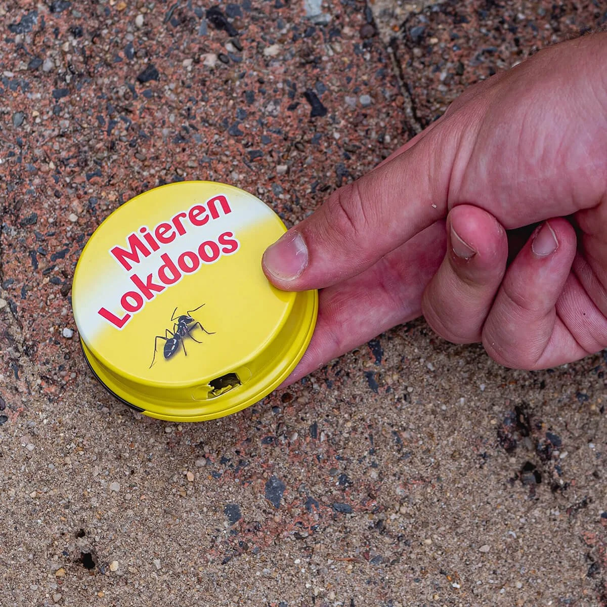 ECOstyle MierenLokdoos - Mierenpoeder Voor Binnen En Buiten - Werkt Enkele Weken - Bestrijd Mieren Op E Wijze - 2 Stuks - Afbeelding 10