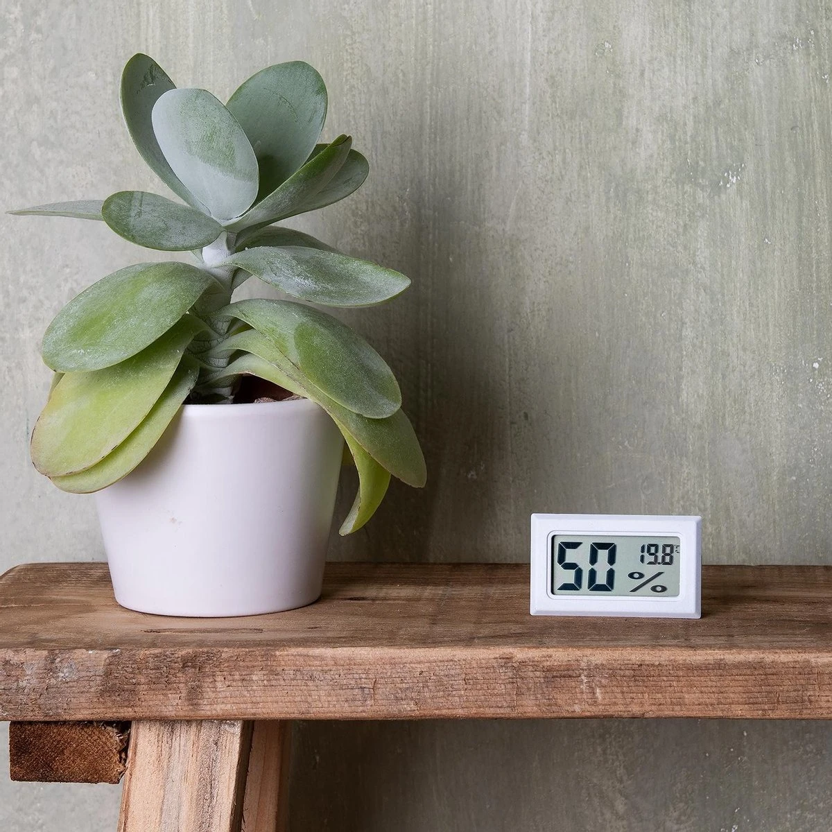 Qitch&Quisine - Hygro - Vochtmeter - Hygrometer - Hygrometer Met Batterijen - Wit - Inclusief Thermometer - Digitale Luchtvochtigheidsmeter - Voor Binnen & Buiten - 2 In 1 - Set Van 3 - Afbeelding 8