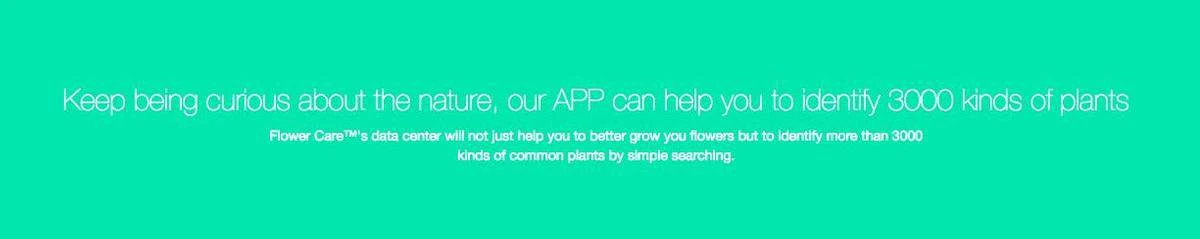 Xiaomi HHCC - Flower Care Smart Plant Sensor | Houdt De Welzijn Van De Planten Goed In De Gaten!! - Afbeelding 12