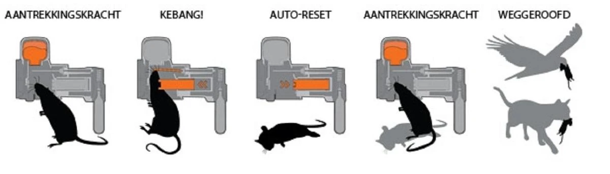 Goodnature A24 Met Teller - Rattenval - Muizenval - Rat - Muis - Afbeelding 4