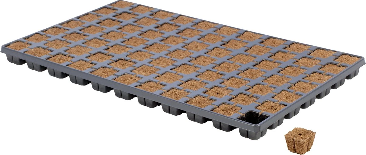 EAZY PLUG Zaaitray En Stektray Met 77 Pluggen 3,5 X 3,5 X 3 Cm.