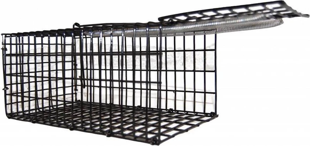 Merkloos Vangkooi Voor Ratten Middelgroot