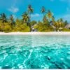 Wanddecoratie Buiten Strand - Palmbomen - Zee - 160x80 Cm - Tuindoek - Buitenposter