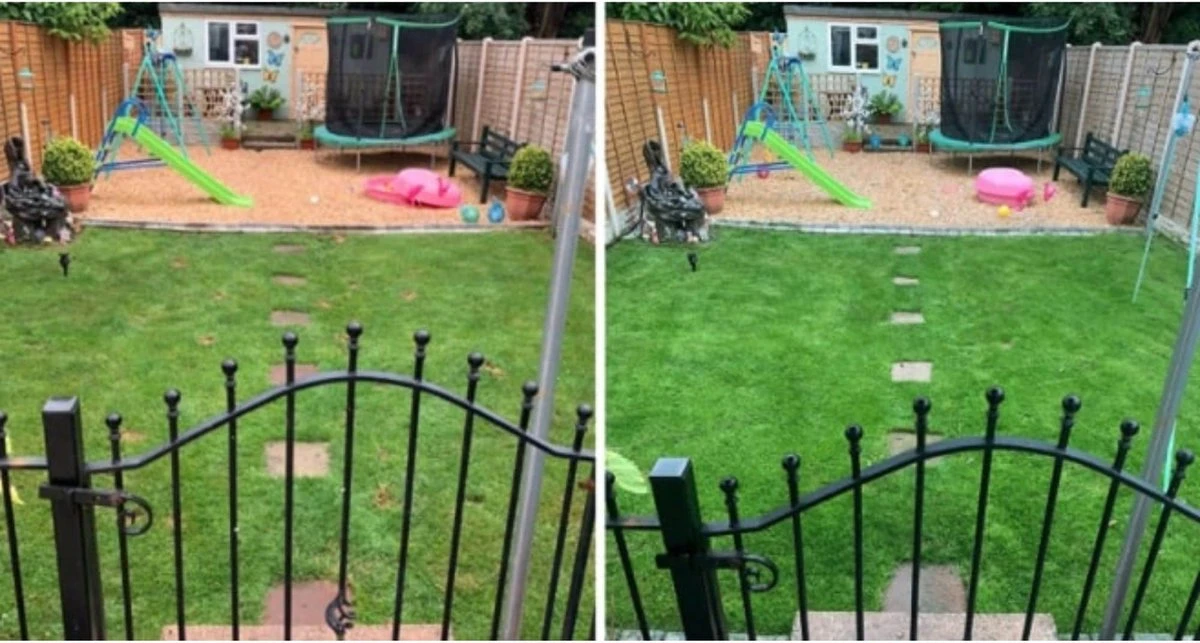 Speel En Sport Graszaad Voor 50m² Gras | Bestendig Tegen Intensief Gebruik | Gazon Voor Sporten & Spelen - Afbeelding 7