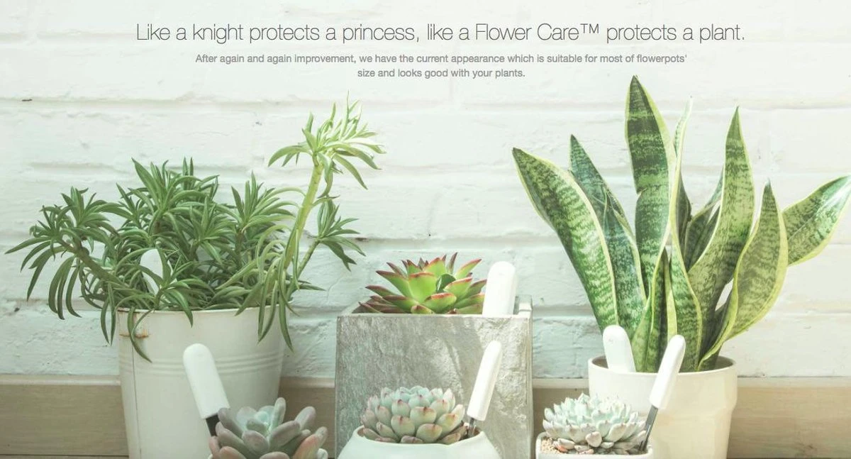 Xiaomi HHCC - Flower Care Smart Plant Sensor | Houdt De Welzijn Van De Planten Goed In De Gaten!! - Afbeelding 3