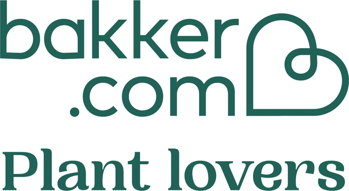 Pokon Palmen Potgrond - 10l - Potgrond (Palm) - 60 Dagen Voeding - Afbeelding 2