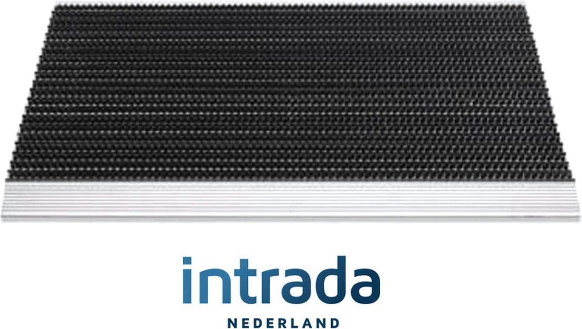 Buitenmat / Scrapermat / Borstelmat Tiger - 40 X 60 Cm